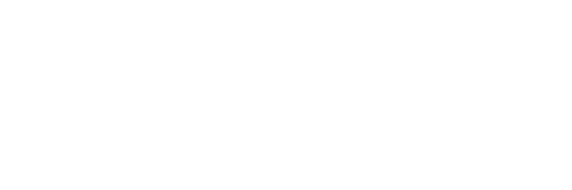 Logotipo da Blue Saúde, especialista em planos de saúde acessíveis.